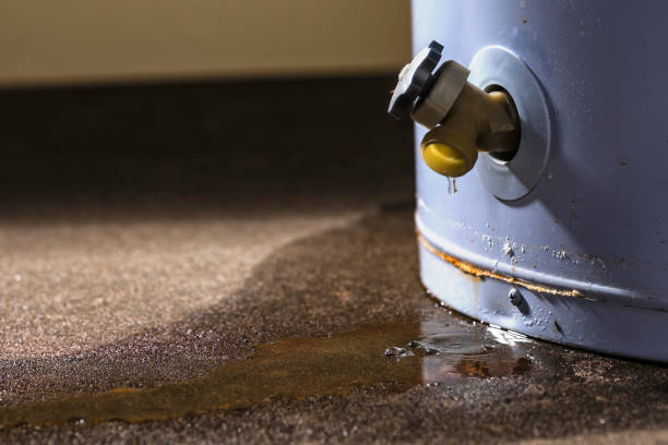 Best 24-hour water damage restoration  in Solon, OH