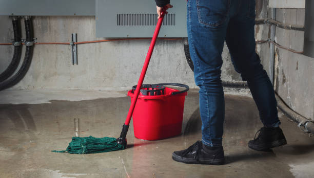 Best Water damage contractors near me  in Solon, OH