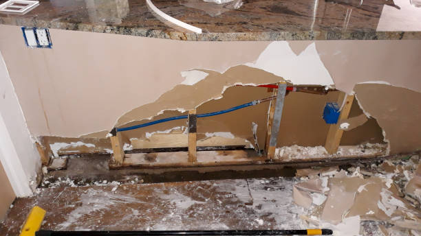 Best Water damage mitigation services  in Solon, OH