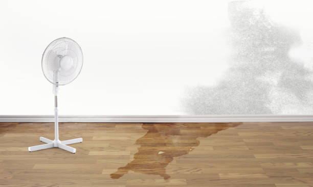 Best Flood restoration services  in Solon, OH